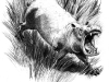 hippo02