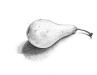 sketchpear01