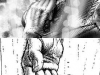 storyboard
